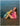 7_35911e89-e14b-431b-8ade-5d62f0bf2e33 - ECCOSOPHY