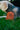 PBB-2 - ECCOSOPHY